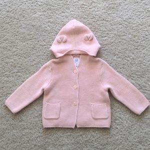 Baby Gap Brannan Bear Hoodie Sweater